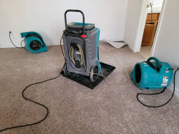 Best Water damage repair service  in Perry, OK