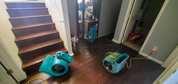 Best 24-hour water damage restoration  in Perry, OK