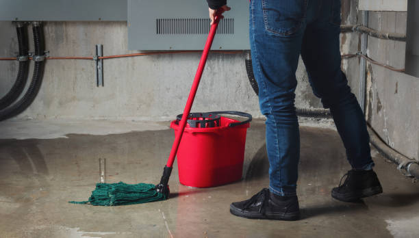 Best Water damage contractors near me  in Perry, OK