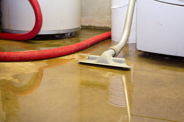 Best Flood damage cleanup  in Perry, OK