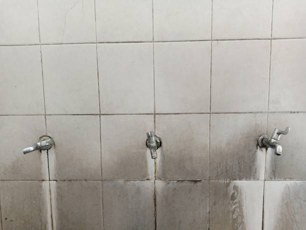 Best Flood restoration services  in Perry, OK