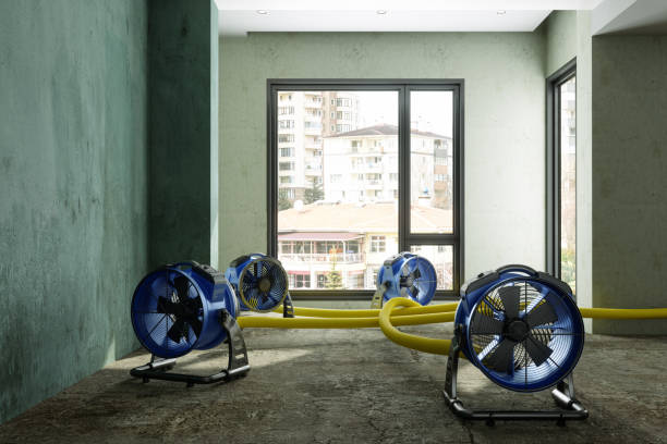 Best Sewage cleanup and water damage restoration  in Perry, OK
